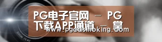 公司动态