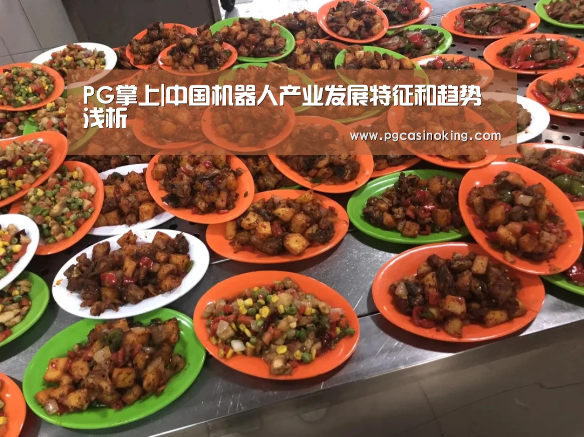 PG掌上|中国机器人产业发展特征和趋势浅析(图2) PG掌上