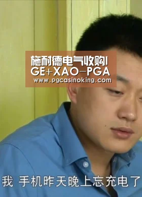 施耐德电气收购IGE+XAO-PGAPP(图2)