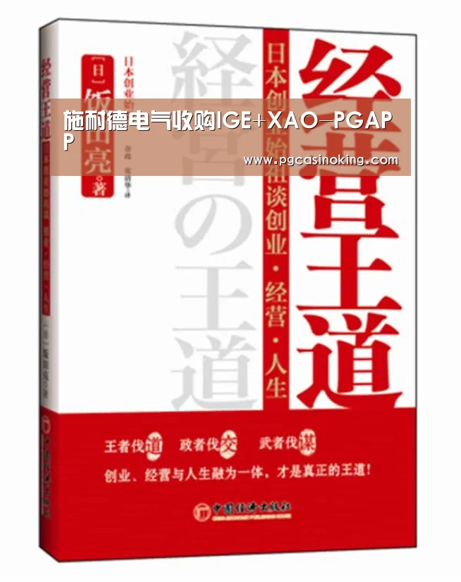 施耐德电气收购IGE+XAO-PGAPP(图3)