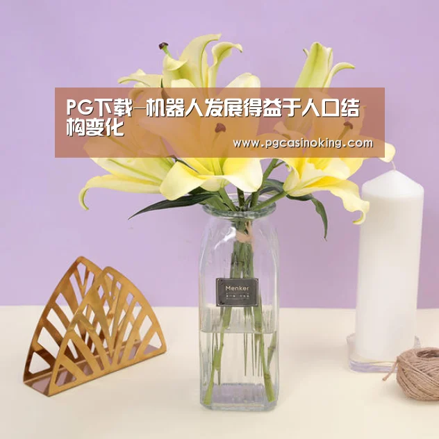 PG下载-机器人发展得益于人口结构变化(图2) PG电子