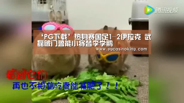 ‘PG下载’热身赛国足1-2伊拉克 武磊破门鲁能小将替李学鹏(图1) ‘PG下载’热身赛国足1-2伊拉克 武磊破门鲁能小将替李学鹏(图1)