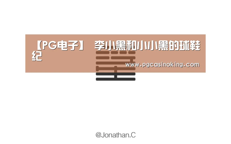 【PG电子】
李小黑和小小黑的球鞋纪(图4) PG下载