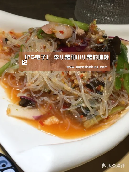 【PG电子】
李小黑和小小黑的球鞋纪(图2) PG下载
