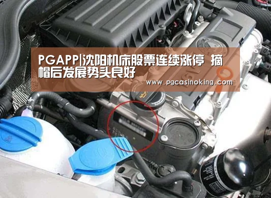PGAPP|沈阳机床股票连续涨停 摘帽后发展势头良好(图4) PGAPP|沈阳机床股票连续涨停 摘帽后发展势头良好(图4)