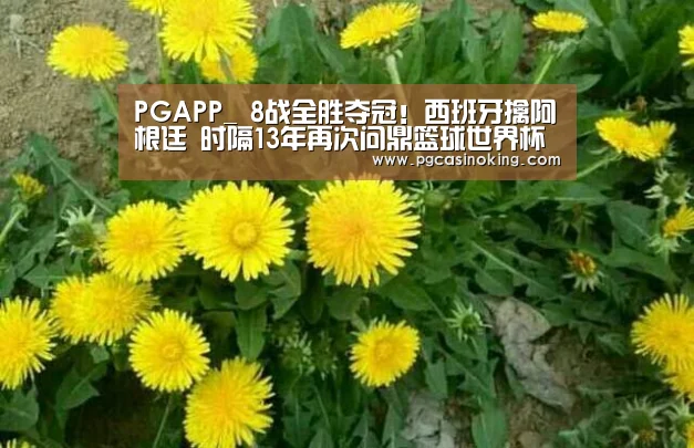 PGAPP_
8战全胜夺冠！西班牙擒阿根廷 时隔13年再次问鼎篮球世界杯(图3)