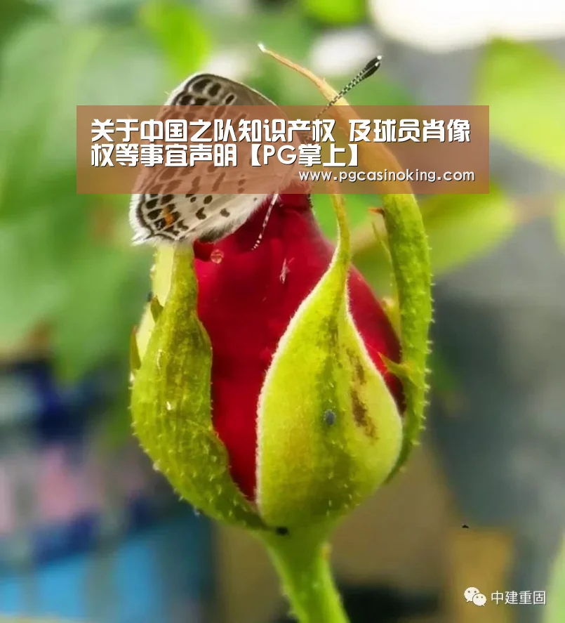 关于中国之队知识产权 及球员肖像权等事宜声明【PG掌上】(图2) 关于中国之队知识产权 及球员肖像权等事宜声明【PG掌上】(图2)