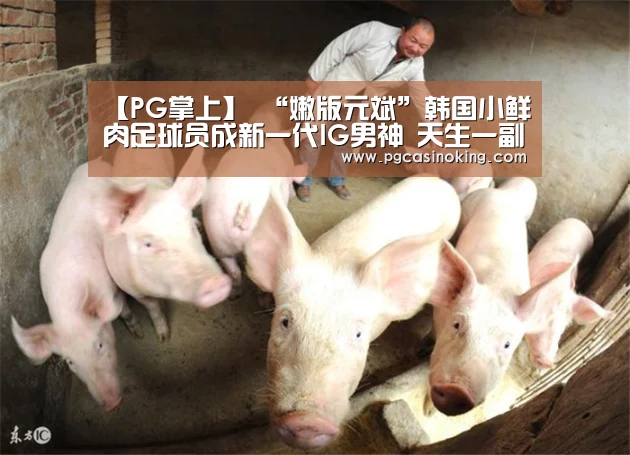 【PG掌上】
“嫩版元斌”韩国小鲜肉足球员成新一代IG男神 天生一副明星相(图2) PG掌上