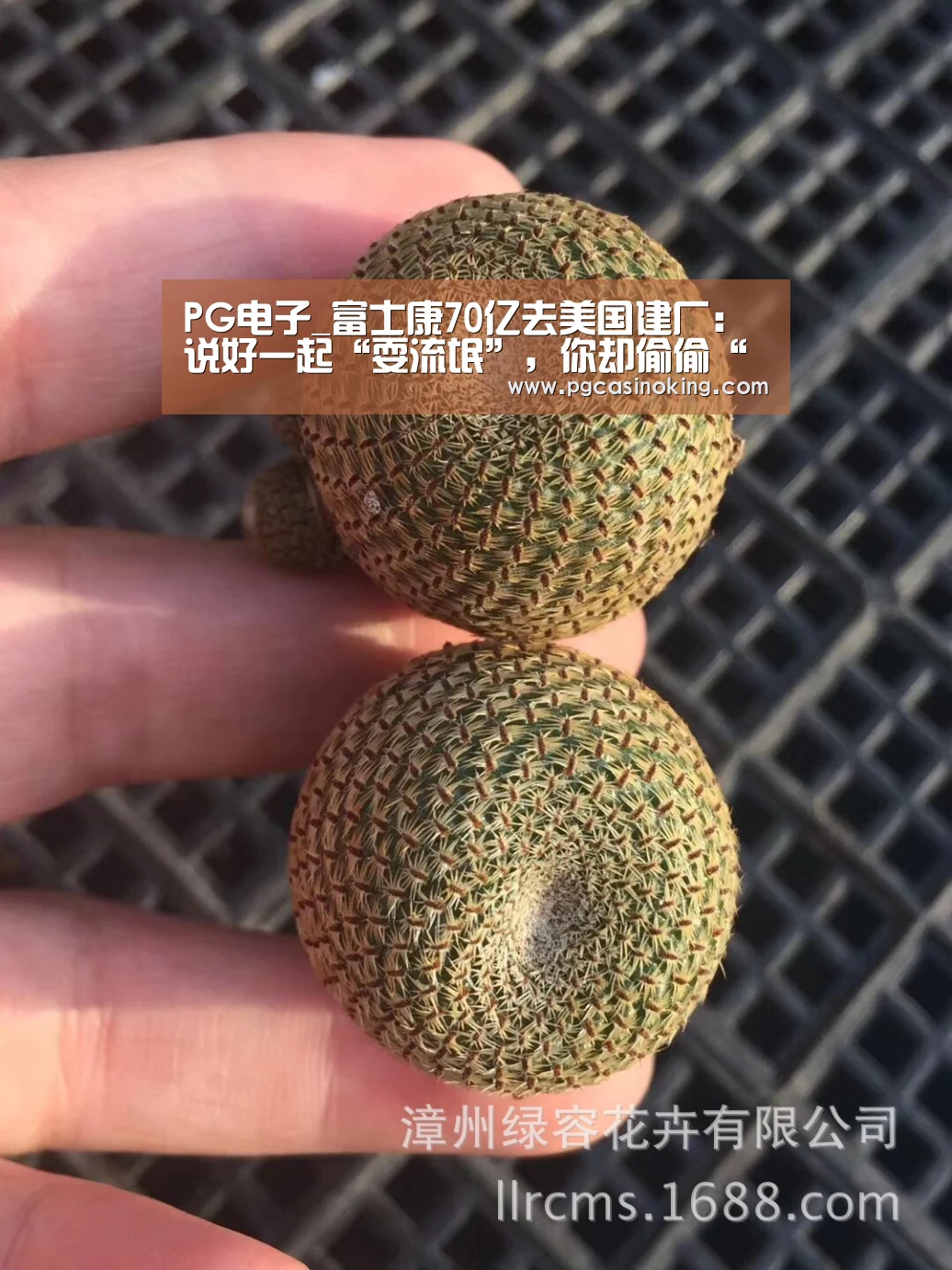 PG电子_富士康70亿去美国建厂:说好一起“耍流氓”,你却偷偷“从了良”(图1) PG掌上