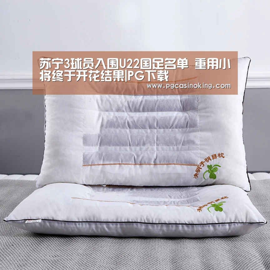 苏宁3球员入围U22国足名单 重用小将终于开花结果|PG下载(图1) PG电子