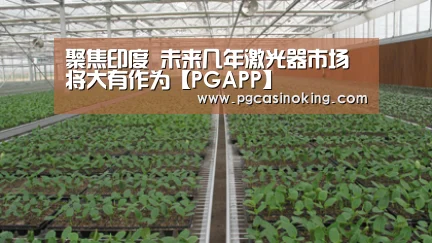 PG电子