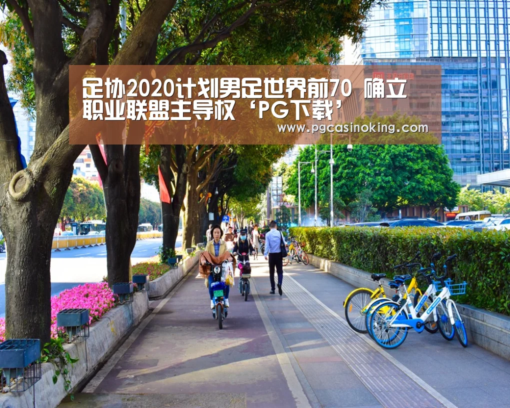 足协2020计划男足世界前70 确立职业联盟主导权‘PG下载’(图2) PG下载