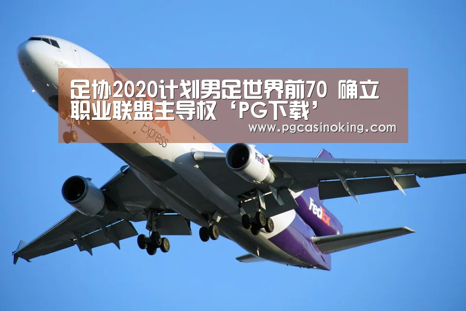 足协2020计划男足世界前70 确立职业联盟主导权‘PG下载’(图3) PG电子